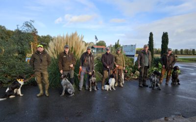 Mega-Prüfungswochenende